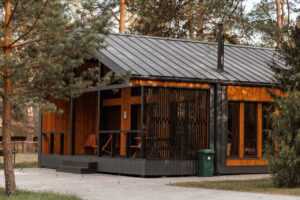 отдых в Беловежской пуще Зимой