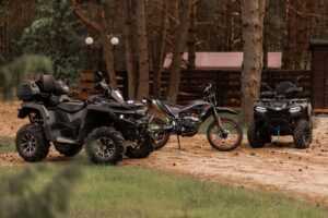 Отдых в Беловежской пуще с Ironwood