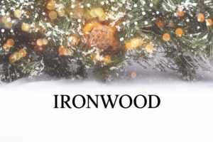 снять дом недорого