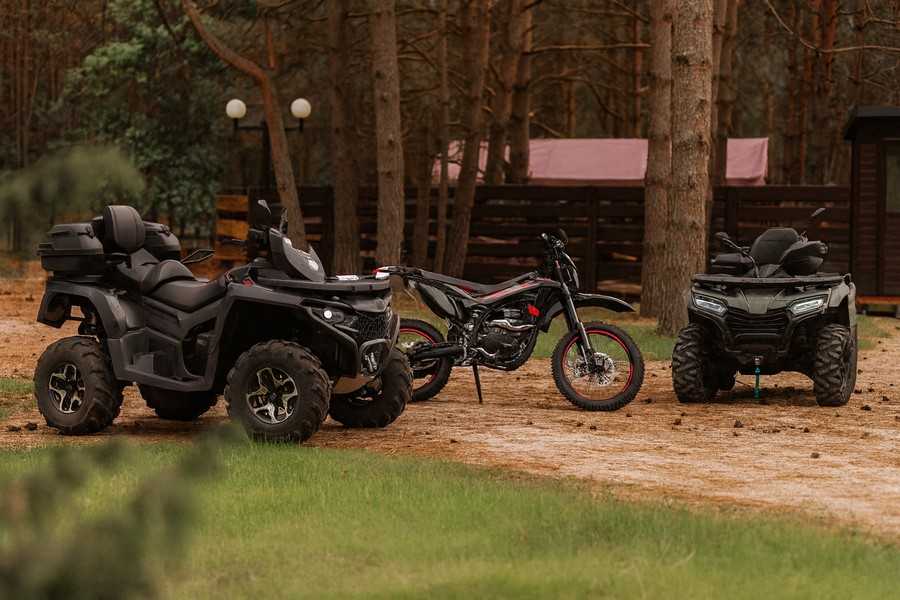 Ironwood — усадьба в Беловежской пуще