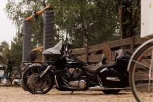 Аренда дома в Беловежской пуще