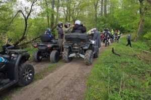 снять домик в лесу Беларусь недорого