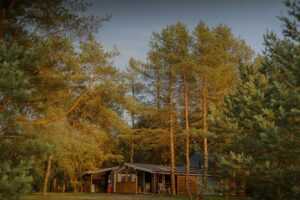 новый год в Беларуси 2026