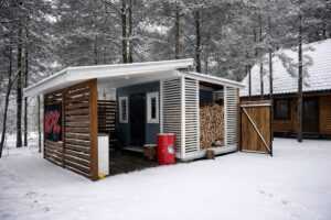 Беловежская пуща жилье