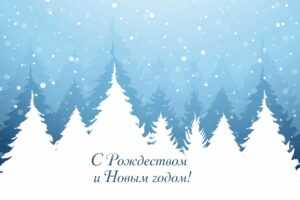 домик в беловежской пуще на сутки