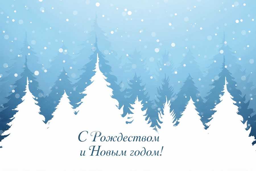 домик в беловежской пуще на сутки