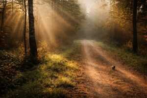 отдых в Беларуси для россиян