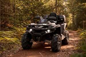 частный дом для отдыха в лесу