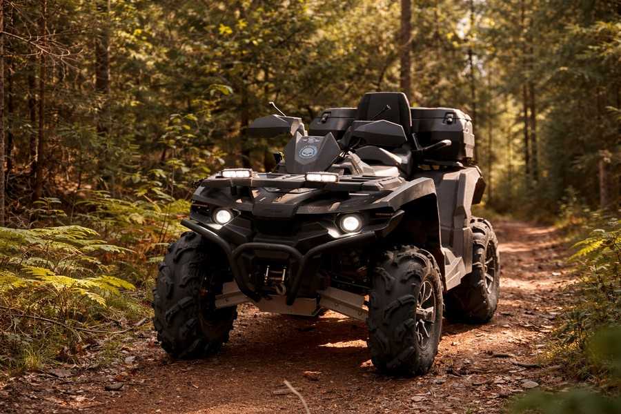 частный дом для отдыха в лесу