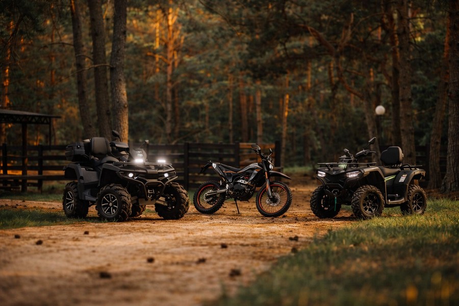 Квадроциклы в Беловежской пуще