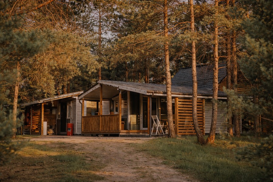 Отдых в Беловежской пуще на выходные — дом в лесу без суеты Отдых в Беловежской пуще на выходные