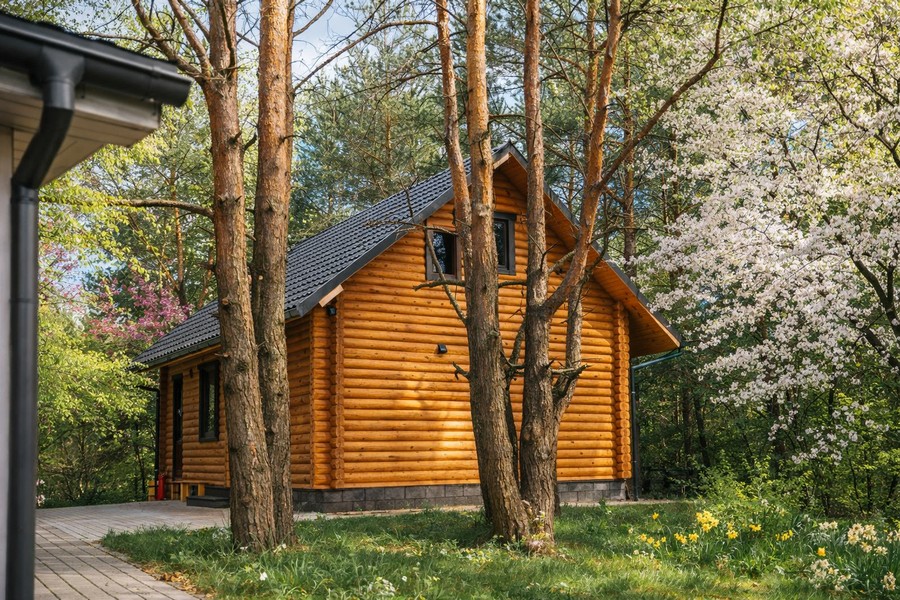 Цены на усадьбу в Беловежской пуще